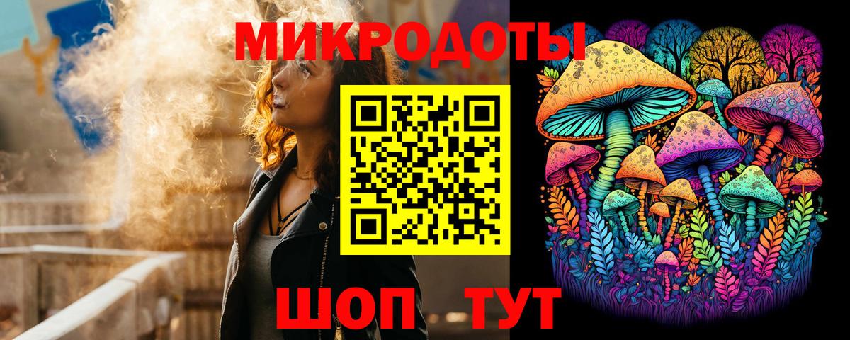 Галлюциногенные грибы GOLDEN TEACHER  Вход с VPN  где купить наркоту  Приморско-Ахтарск 