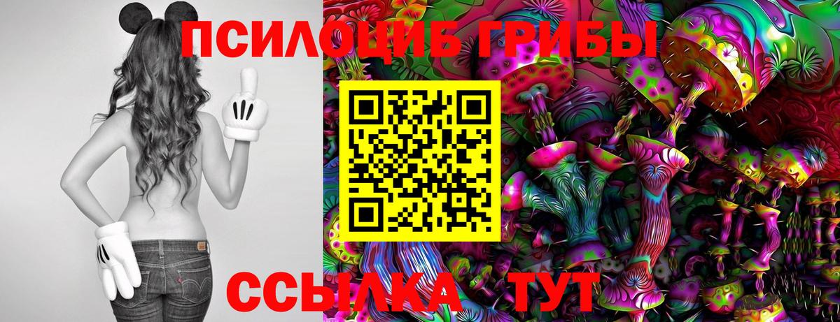 Галлюциногенные грибы MAGIC MUSHROOMS Приморско-Ахтарск